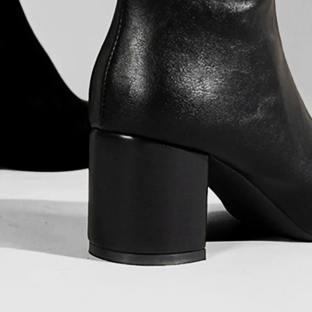Minimalist Polished Ankle Boots with High Block Heel and Pointed Toe
